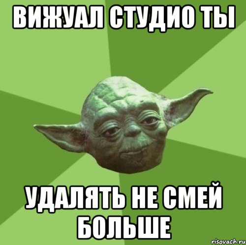 Вижуал студио ты удалять не смей больше, Мем Мастер Йода