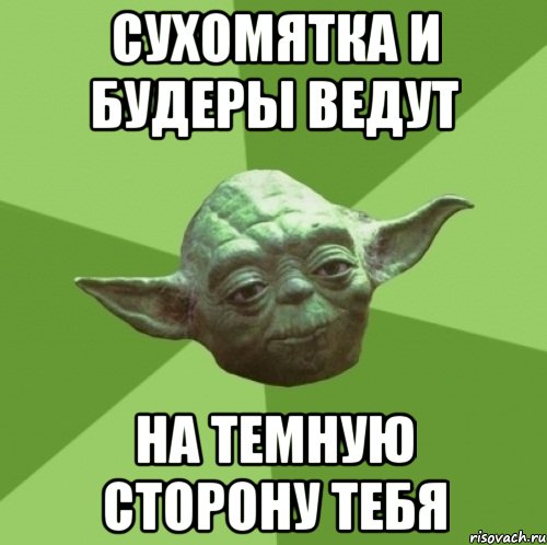 сухомятка и будеры ведут на темную сторону тебя, Мем Мастер Йода