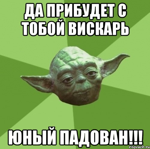 да прибудет с тобой вискарь юный падован!!!, Мем Мастер Йода