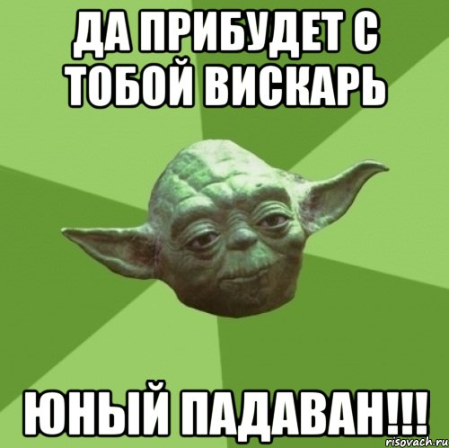 да прибудет с тобой вискарь юный падаван!!!, Мем Мастер Йода
