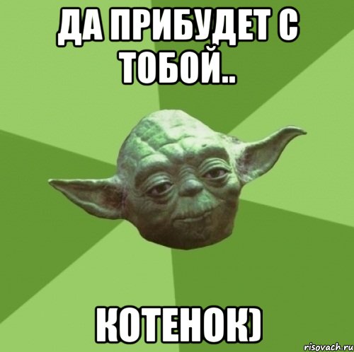 Да прибудет с тобой.. Котенок), Мем Мастер Йода