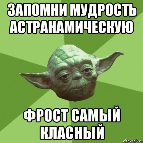 запомни мудрость астранамическую фрост самый класный, Мем Мастер Йода