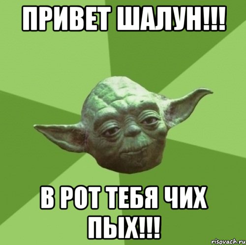Привет ШАЛУН!!! В Рот Тебя ЧИХ ПЫХ!!!, Мем Мастер Йода