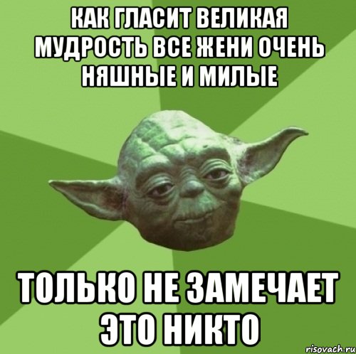 как гласит великая мудрость все Жени очень няшные и милые только не замечает это никто, Мем Мастер Йода