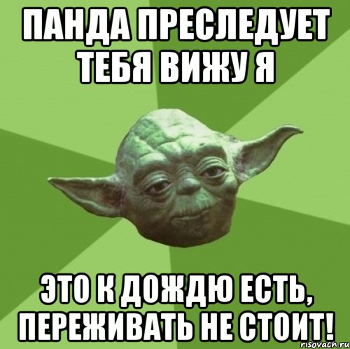 панда преследует тебя вижу я это к дождю есть, переживать не стоит!, Мем Мастер Йода