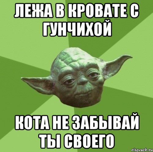 Лежа в кровате с Гунчихой Кота не забывай ты своего, Мем Мастер Йода