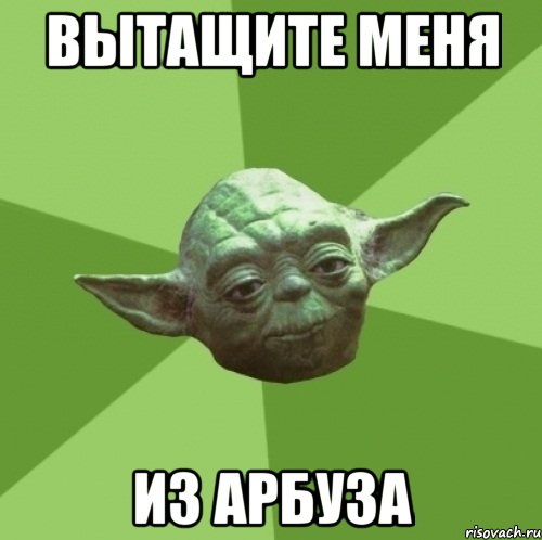 вытащите меня из арбуза, Мем Мастер Йода