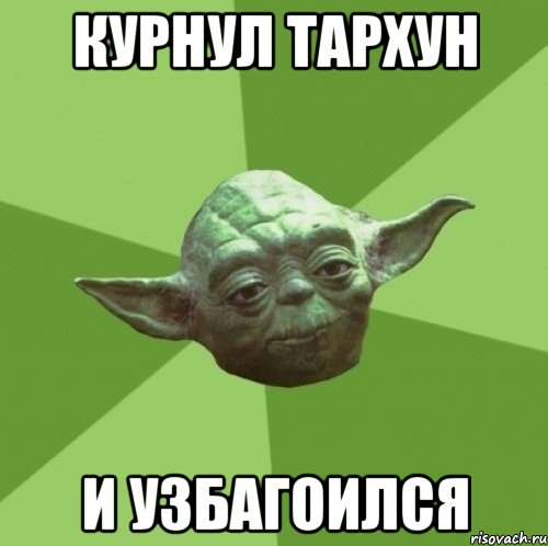 Курнул тархун и узбагоился, Мем Мастер Йода