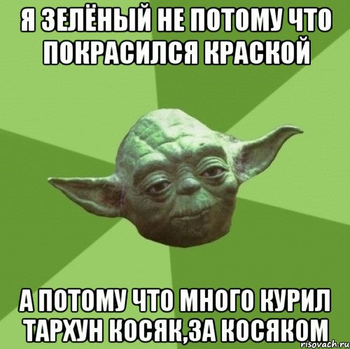Я зелёный не потому что покрасился краской а потому что много курил тархун косяк,за косяком, Мем Мастер Йода