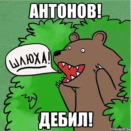 Антонов! дЕбил!, Мем Медведь в кустах