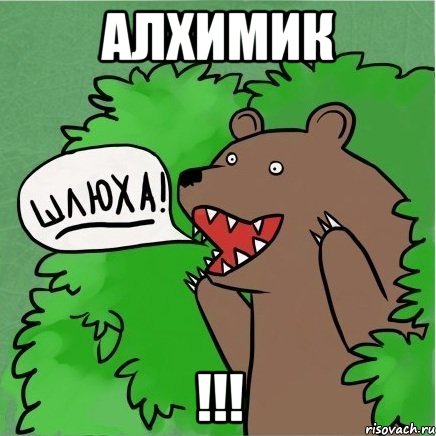 Алхимик !!!, Мем Медведь в кустах