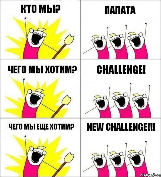 кто мы? ПАЛАТА Чего мы хотим? Challenge! Чего мы еще хотим? New challenge!!!, Комикс кто мы