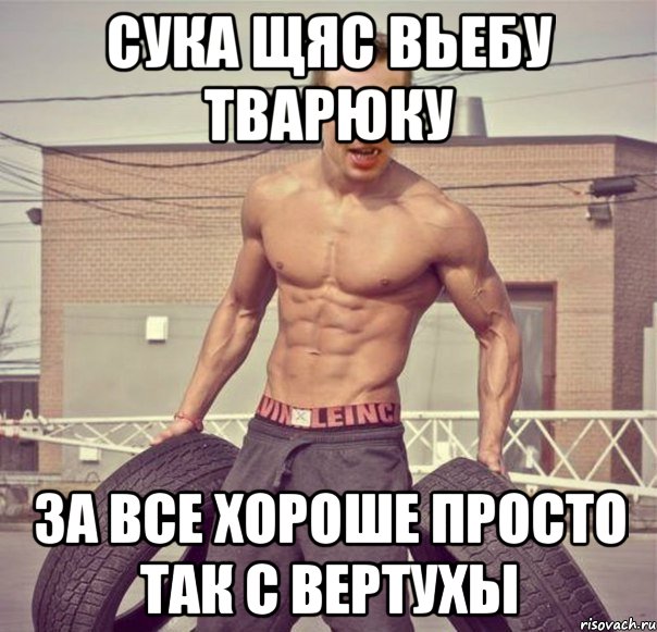 Сука щяс вьебу тварюку за все хороше просто так с вертухы