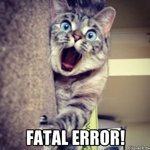  Fatal ERROR!
