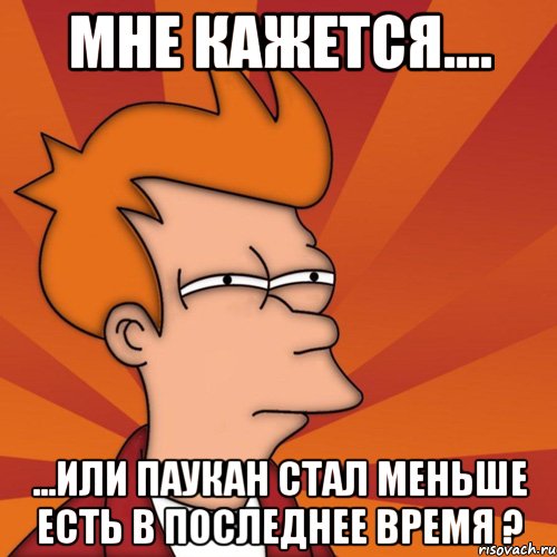 Мне кажется.... ...или паукан стал меньше есть в последнее время ?, Мем Мне кажется или (Фрай Футурама)