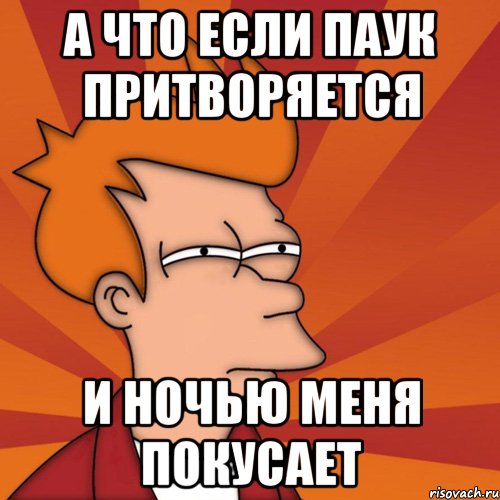 А ЧТО ЕСЛИ ПАУК ПРИТВОРЯЕТСЯ И НОЧЬЮ МЕНЯ ПОКУСАЕТ, Мем Мне кажется или (Фрай Футурама)