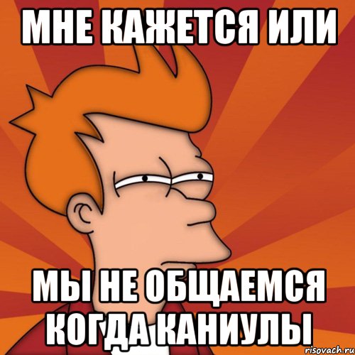 МНЕ КАЖЕТСЯ ИЛИ МЫ НЕ ОБЩАЕМСЯ КОГДА КАНИУЛЫ, Мем Мне кажется или (Фрай Футурама)