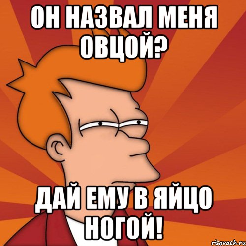 Он назвал меня овцой? Дай ему в яйцо ногой!, Мем Мне кажется или (Фрай Футурама)