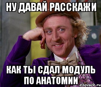 Ну давай расскажи Как ты сдал модуль по анатомии, Мем мое лицо