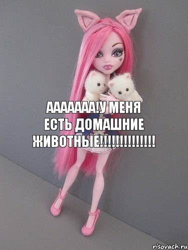 Ааааааа!У меня есть домашние животные!!!!!!!!!!!!!!, Комикс монстер хай новая ученица