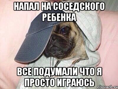 Напал на соседского ребенка Все подумали что я просто играюсь