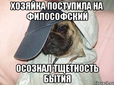хозяйка поступила на философский осознал тщетность бытия