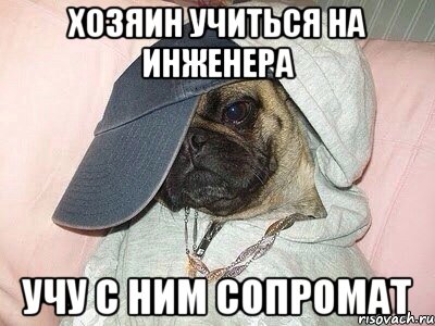 хозяин учиться на инженера учу с ним сопромат