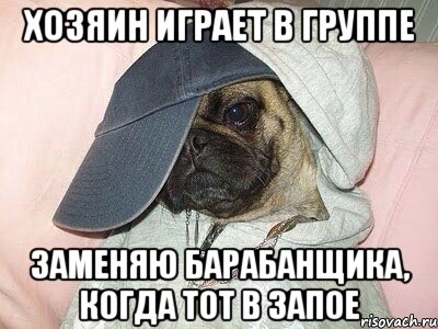 хозяин играет в группе заменяю барабанщика, когда тот в запое