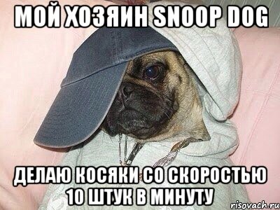 мой хозяин snoop dog делаю косяки со скоростью 10 штук в минуту