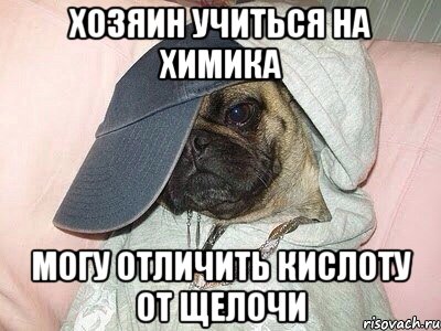 хозяин учиться на химика могу отличить кислоту от щелочи