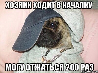 хозяин ходит в качалку могу отжаться 200 раз