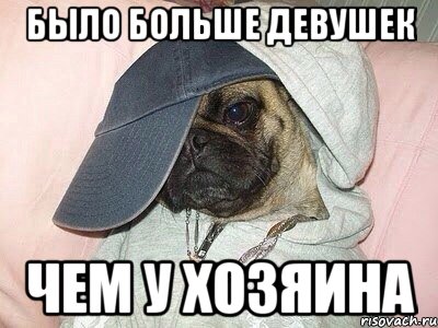 было больше девушек чем у хозяина