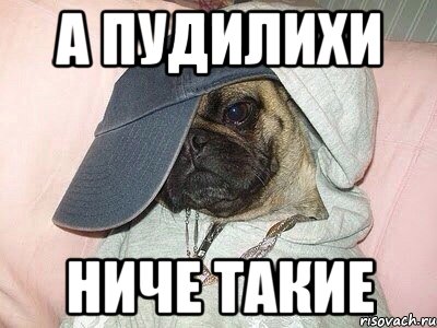 а пудилихи ниче такие
