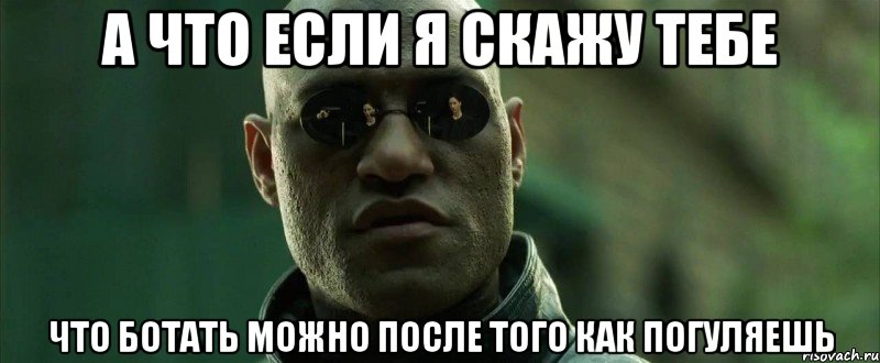 А что если я скажу тебе Что ботать можно после того как погуляешь, Мем  морфеус