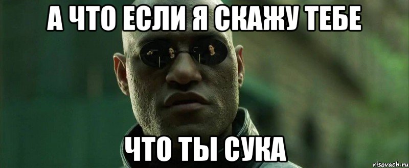 а что если я скажу тебе что ты сука