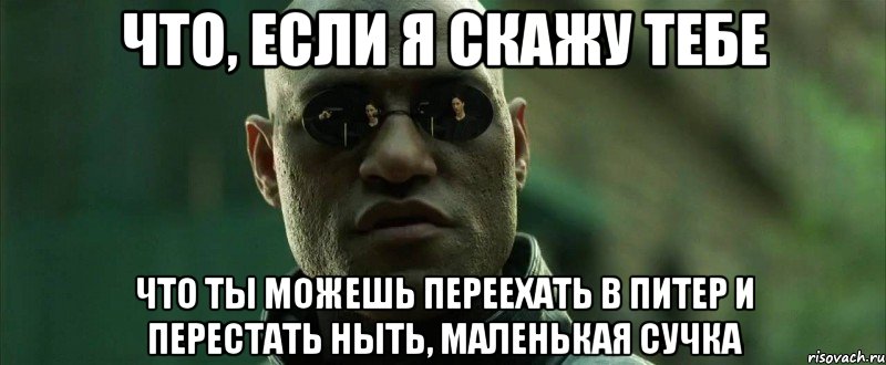 Что, если я скажу тебе что ты можешь переехать в Питер и перестать ныть, маленькая сучка, Мем  морфеус