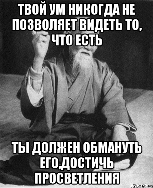 Твой ум никогда не позволяет видеть то, что есть Ты должен обмануть его,достичь просветления, Мем Монах-мудрец (сэнсей)