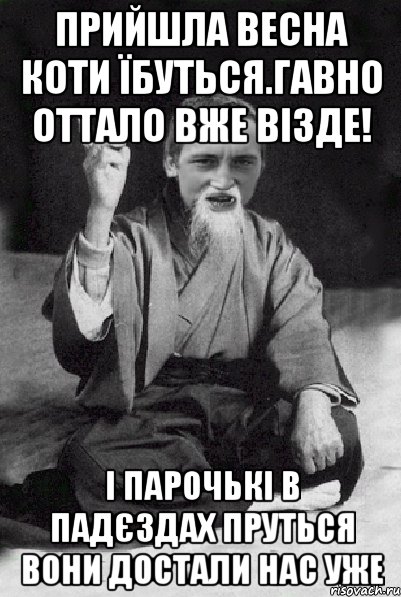 прийшла весна коти їбуться.гавно оттало вже візде! і парочькі в падєздах пруться вони достали нас уже, Мем Мудрий паца