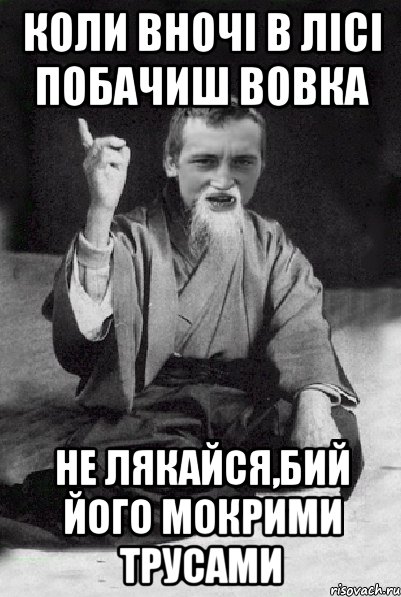 коли вночі в лісі побачиш вовка не лякайся,бий його мокрими трусами, Мем Мудрий паца