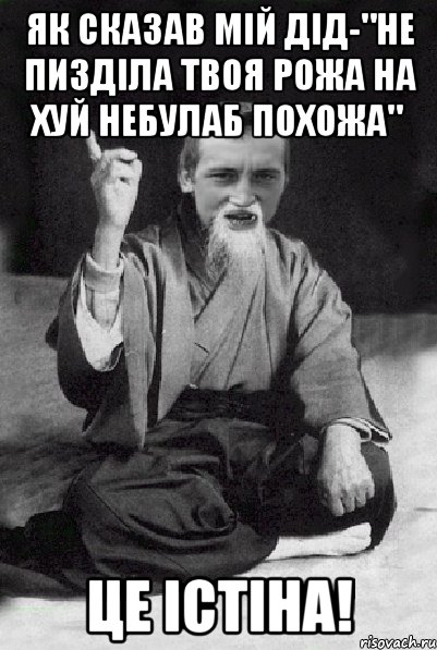 Як сказав мій дід-"НЕ ПИЗДІЛА ТВОЯ РОЖА НА ХУЙ НЕБУЛАБ ПОХОЖА" ЦЕ ІСТІНА!, Мем Мудрий паца