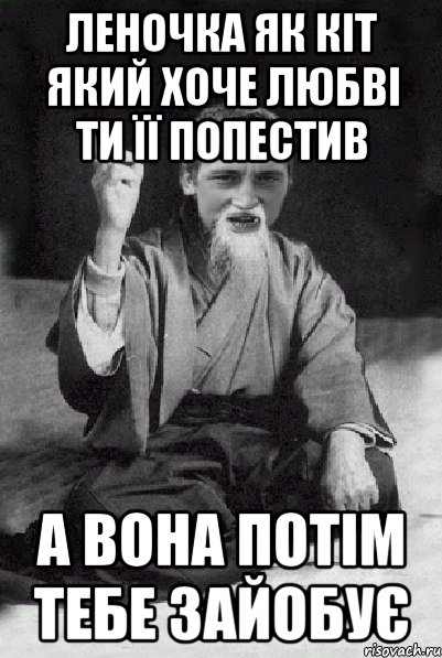 Леночка як кіт який хоче любві ти її попестив А вона потім тебе зайобує, Мем Мудрий паца