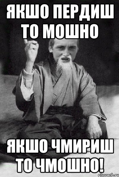 якшо пердиш то мошно якшо чмириш то чмошно!, Мем Мудрий паца