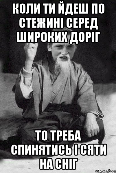 Коли ти йдеш по стежині серед широких доріг то треба спинятись і сяти на сніг, Мем Мудрий паца