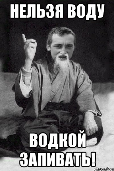 НЕЛЬЗЯ ВОДУ ВОДКОЙ ЗАПИВАТЬ!, Мем Мудрий паца