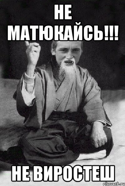 Не матюкайсь!!! не виростеш, Мем Мудрий паца