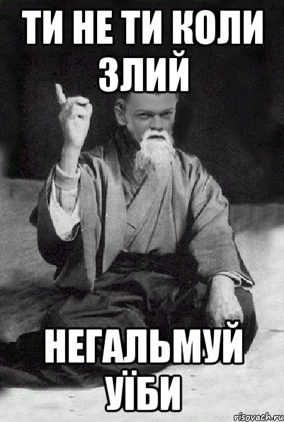 ти не ти коли злий негальмуй уїби, Мем Мудрий Виталька