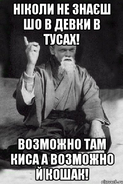 Ніколи не знаєш шо в девки в тусах! Возможно там киса а возможно й кошак!, Мем Мудрий Виталька