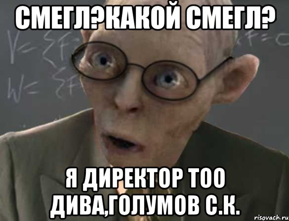 смегл?какой смегл? я директор тоо дива,голумов с.к., Мем Мухин
