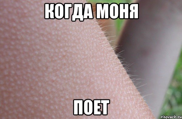 когда Моня поет