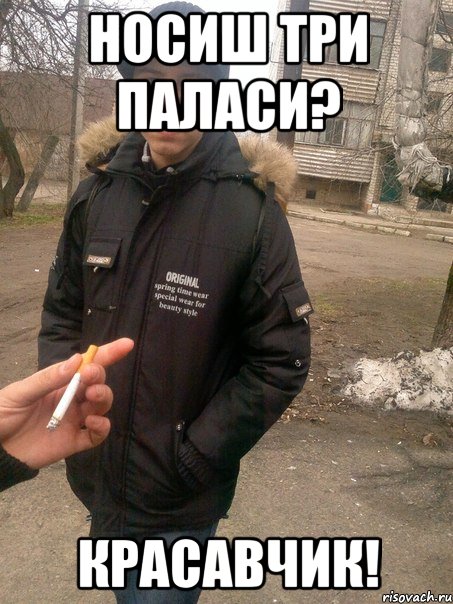 носиш три паласи? красавчик!, Мем мурчик